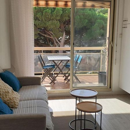 Studio A 100 M Du Port Et 500 M Des Plages Hyères Dış mekan fotoğraf