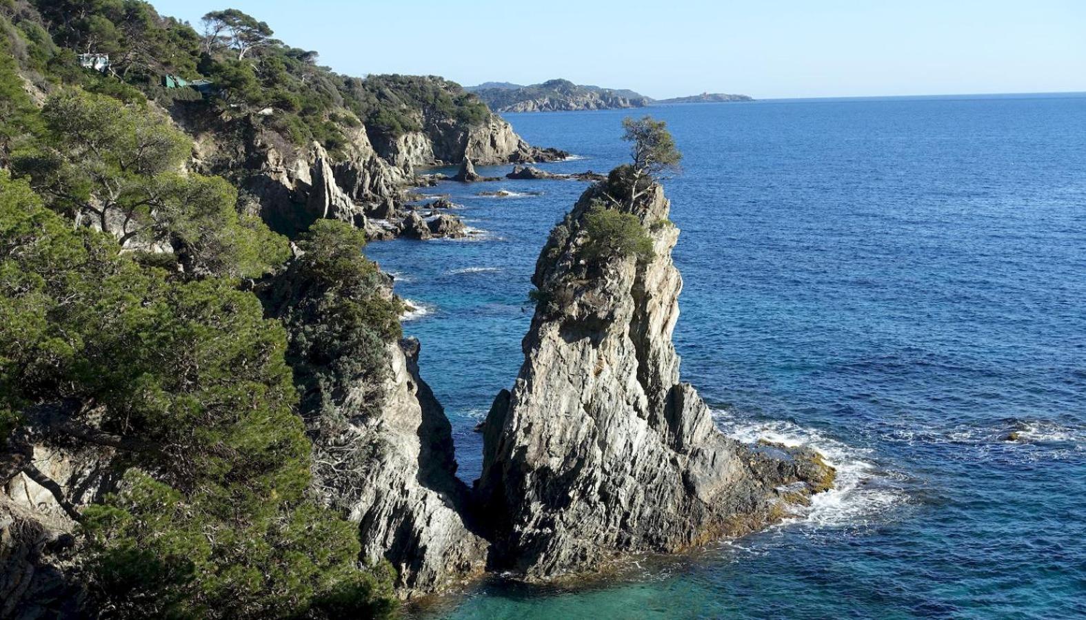 Studio A 100 M Du Port Et 500 M Des Plages Hyères Dış mekan fotoğraf