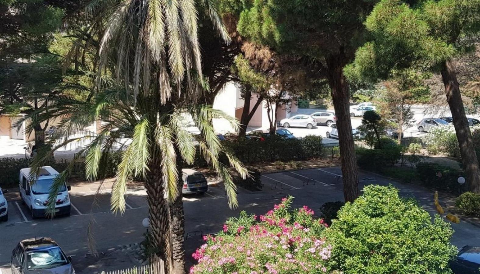 Studio A 100 M Du Port Et 500 M Des Plages Hyères Dış mekan fotoğraf